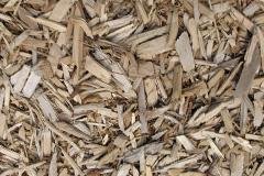 biomass boilers Cowbit